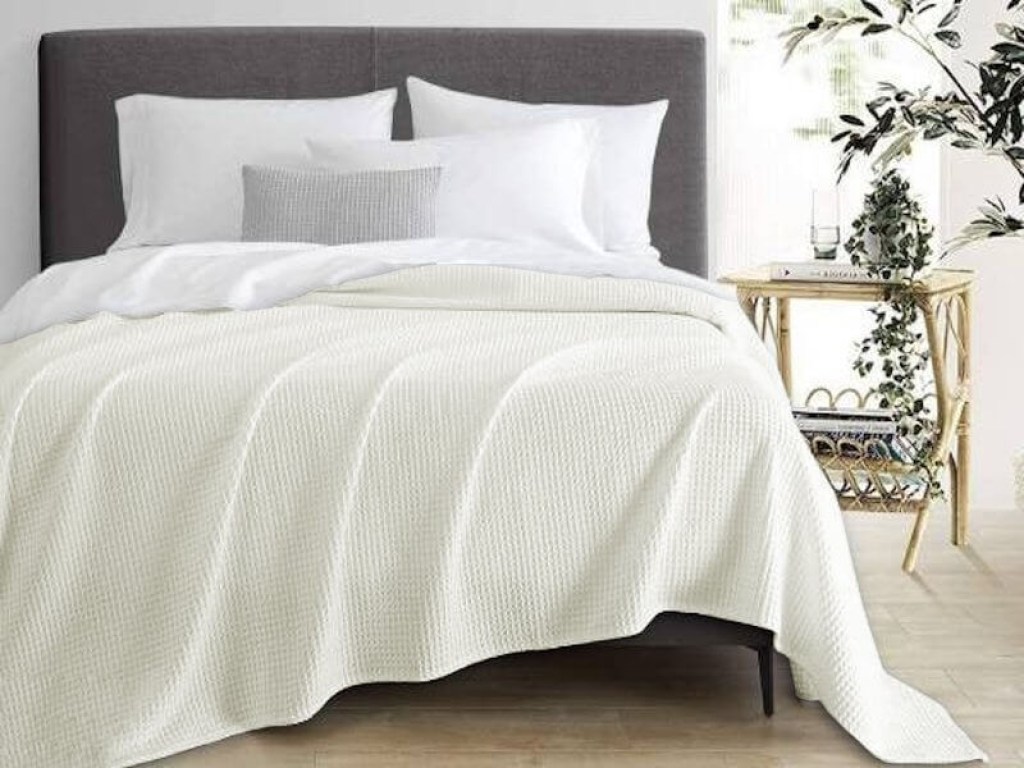 Κουβέρτα Μονή Πικέ Βαμβακερή Εκρού Γαρύφαλλο 160x250 | Γαρύφαλλο - Λευκά Είδη